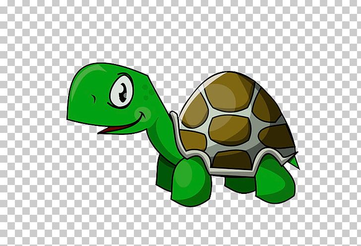 Turtle Tortoise Reptile PNG, Clipart, Animals, Asian Forest Tortoise, Computer Icons, Desert Tortoise, Drawing Free PNG Download