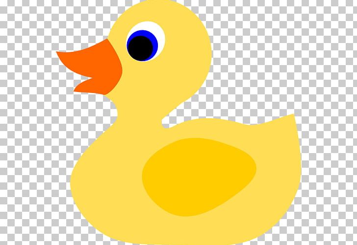 Duck Water Bird Vertebrate Anatidae PNG, Clipart, Anatidae, Animal, Animals, Beak, Bird Free PNG Download