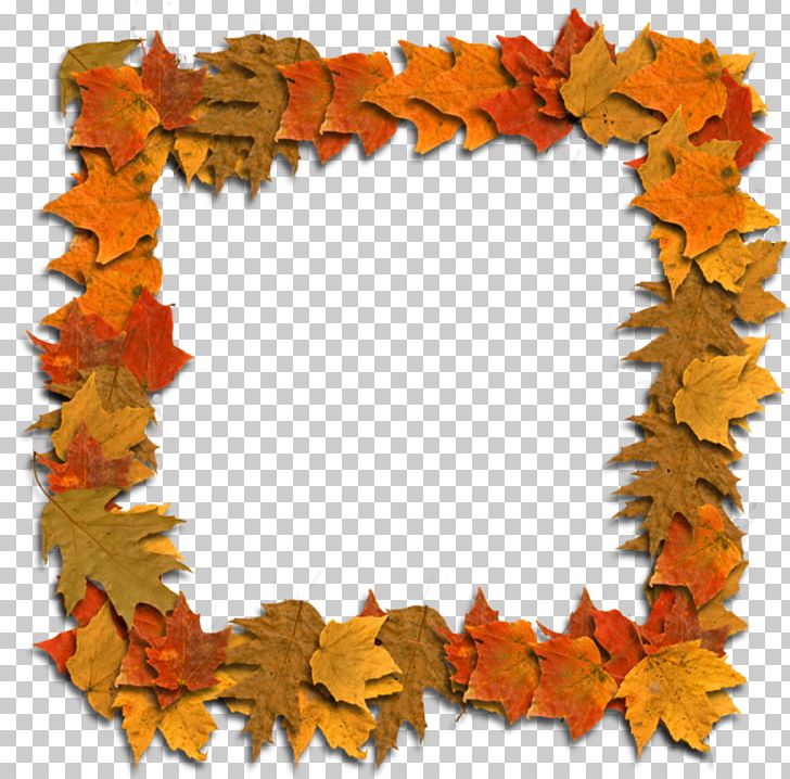 Maple Leaf PNG, Clipart, Autumn, Leaf, Maple, Maple Leaf, Others Free PNG Download