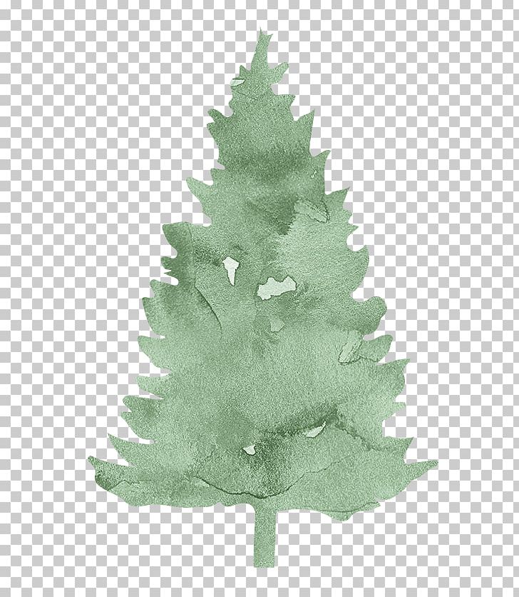 Pine Spruce Fir Evergreen Conifers PNG, Clipart, Autumn Leaf, Blade, Christmas Decoration, Christmas Ornament, Christmas Tree Free PNG Download