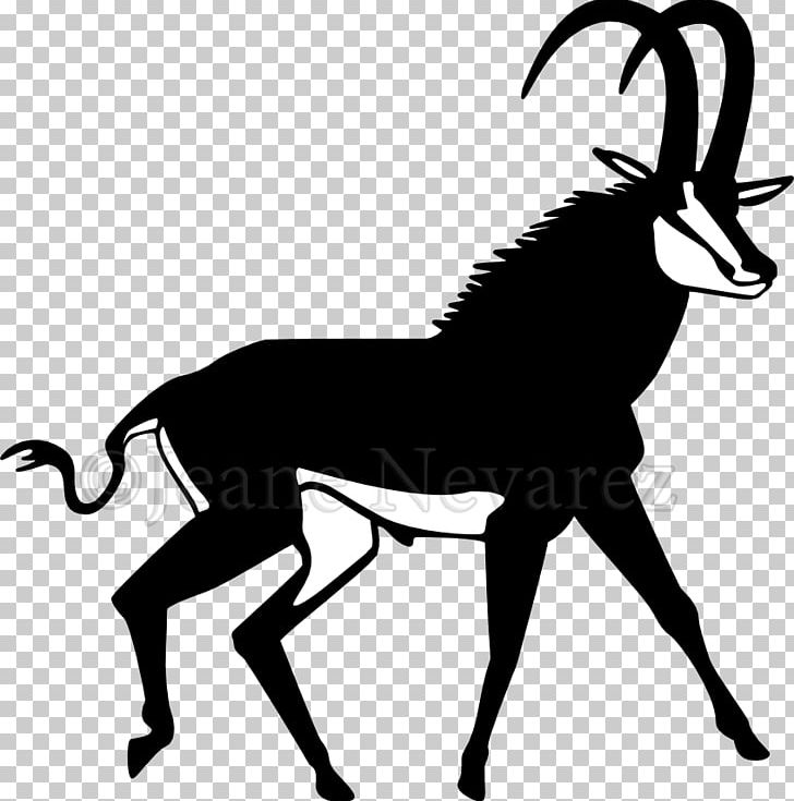 Sable Antelope PNG, Clipart, Animal, Antelope, Artwork, Black And White, Cow Goat Family Free PNG Download