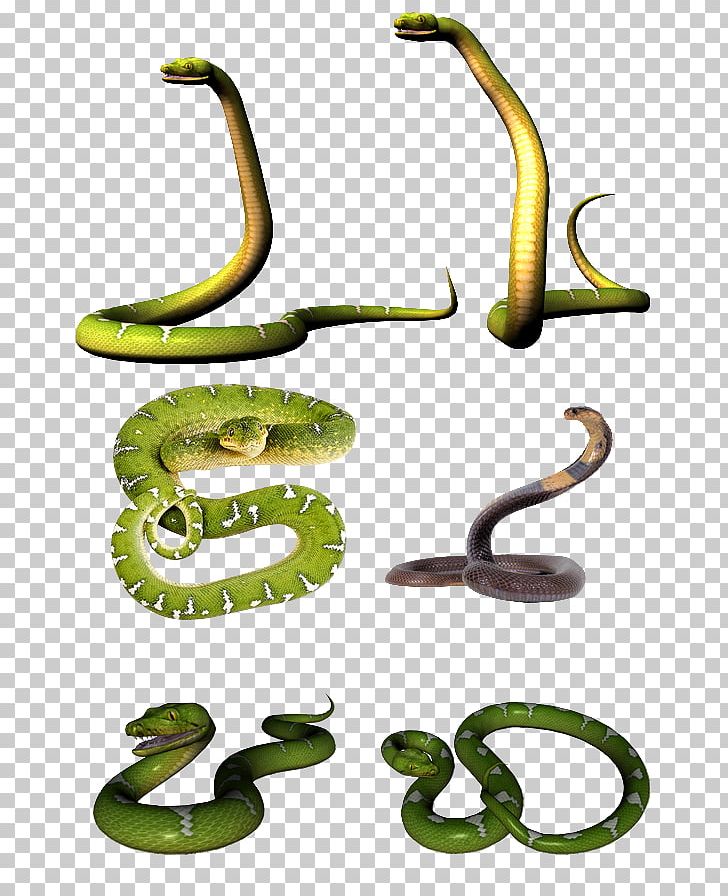 Mambas Venomous Snake Cobra PNG, Clipart, Animal, Animal Figure, Animals, Cobra, Fauna Free PNG Download