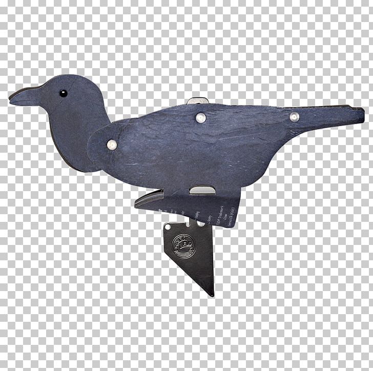 Beak Water Bird PNG, Clipart, Angle, Animals, Beak, Bird, Fud Free PNG Download