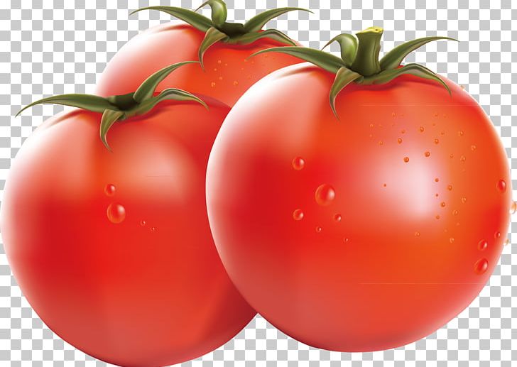 Cherry Tomato Vegetable Tomato Sauce PNG, Clipart, Diet Food, Food, Food Icon, Food Logo, Food Menu Free PNG Download