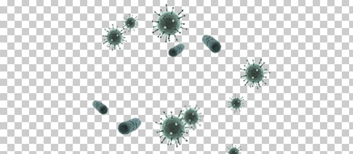Germ Theory Of Disease Virus PNG, Clipart, Branch, Conifer, Direct, Disease, Fir Free PNG Download
