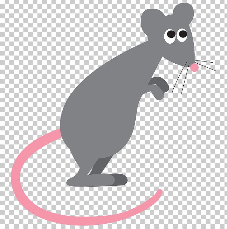 Murids Mouse Black Rat Cat Rodent PNG, Clipart, Animals, Artificial Nails, Beaver, Black Rat, Canidae Free PNG Download