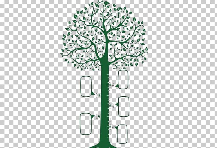 Tree Photography PNG, Clipart, Art, Autumn Tree, Brand, Christmas Tree, Diagram Free PNG Download
