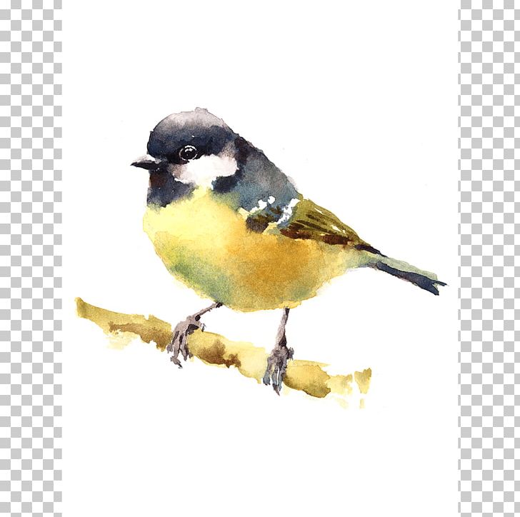 Bird Watercolor Painting Drawing Art Museum PNG, Clipart, Animals, Art, Art Museum, Beak, Bird Free PNG Download