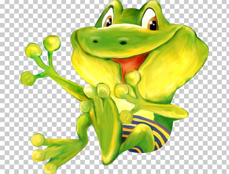 Frog Drawing PNG, Clipart, Amphibian, Animals, Art, Background Green, Bronze Frog Free PNG Download