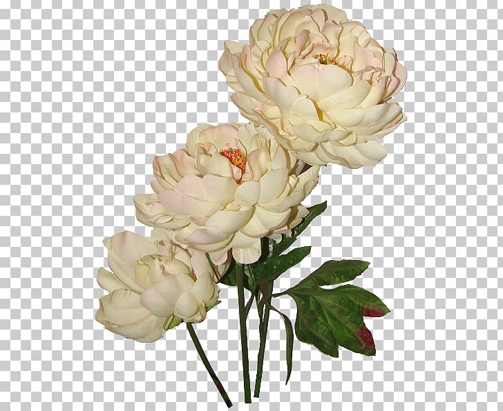 Garden Roses Flower Bouquet Floral Design Cut Flowers PNG, Clipart, Artificial Flower, Centifolia Roses, Cicek, Cicek Demetleri, Cicek Resimleri Free PNG Download