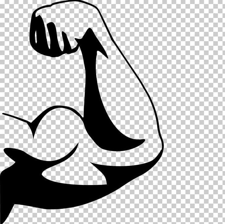 Muscle Arm Biceps PNG, Clipart, Arm, Art, Artwork, Beak, Biceps Free PNG Download