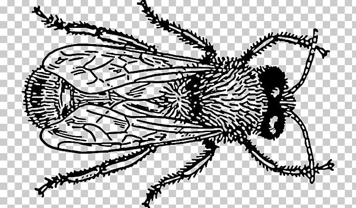Bee Insect PNG, Clipart, Art, Arthropod, Artwork, Bee, Black And White Free PNG Download