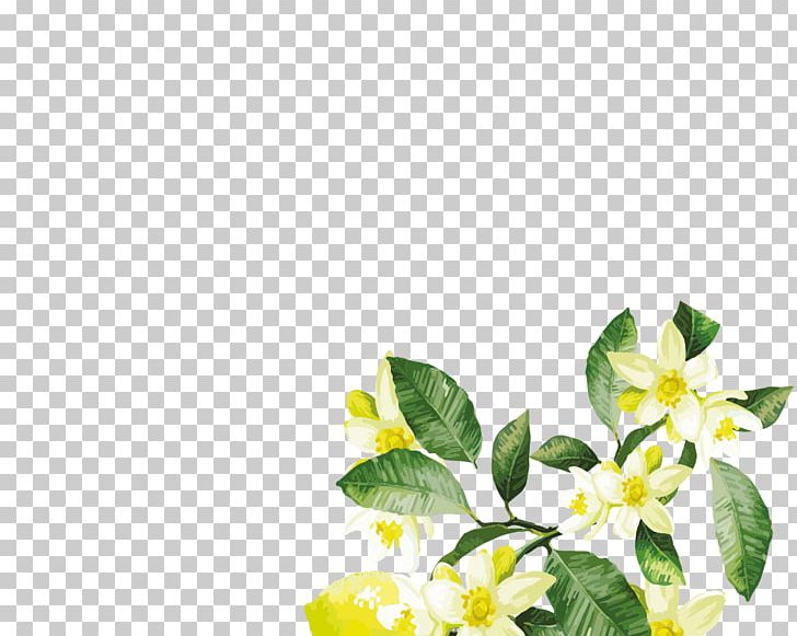 Petal Floral Design Cut Flowers Leaf PNG, Clipart, 1k Phew, Branch, Cut Flowers, Flora, Floral Design Free PNG Download
