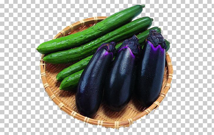 Pickled Cucumber Eggplant Vegetable Tomato PNG, Clipart, Capsicum Annuum, Cucumber, Cucumber Cartoon, Cucumber Gourd And Melon Family, Cucumber Juice Free PNG Download