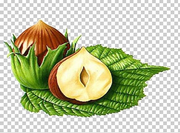 Almond Apricot Kernel Illustration PNG, Clipart, Almond Milk, Almond Nut, Almond Nuts, Almond Pudding, Almonds Free PNG Download