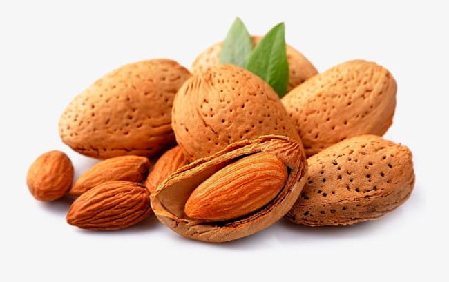 Almond Nuts PNG, Clipart, Almond, Almond Clipart, Delicious, Dried, Dried Fruit Free PNG Download