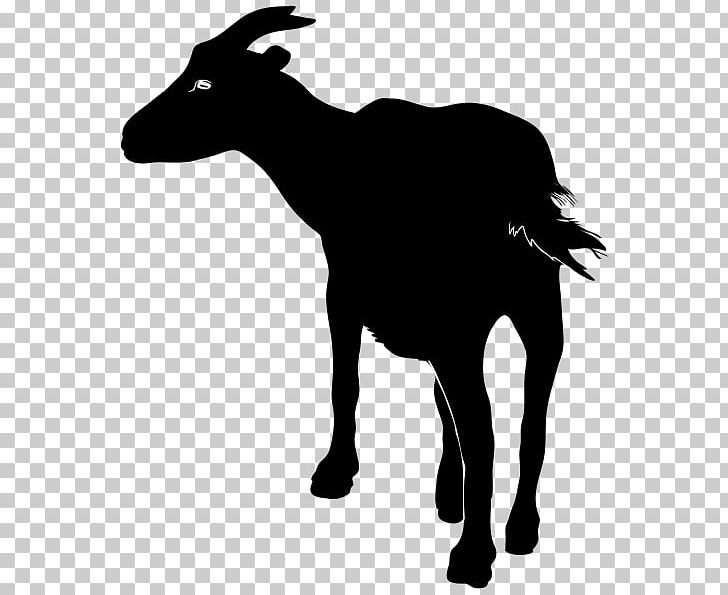 Anglo-Nubian Goat Boer Goat Nigerian Dwarf Goat Pygmy Goat PNG, Clipart, Animals, Autocad Dxf, Black And White, Boer Goat, Cattle Like Mammal Free PNG Download