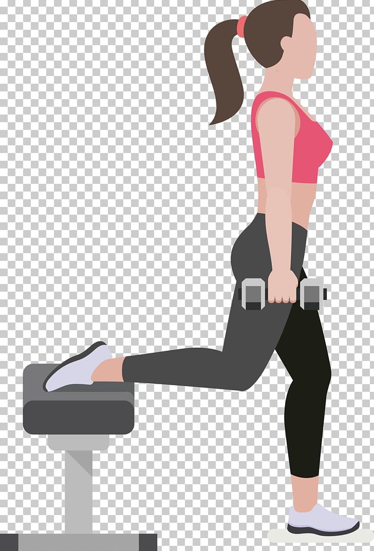 Dumbbell Physical Exercise Physical Fitness Physical Strength PNG, Clipart, Abdomen, Arm, Balance, Beautiful Lady, Bodybuilding Free PNG Download