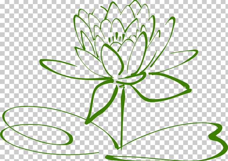 Nelumbo Nucifera Water Lilies PNG, Clipart, Aquatic Plants, Art, Artwork, Black, Black And White Free PNG Download