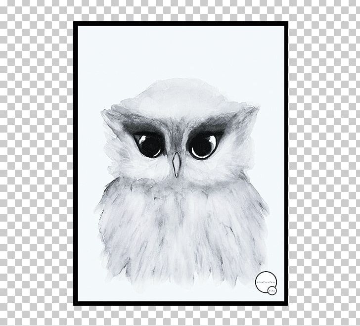 Poster Artikel Painting PNG, Clipart, Artikel, Beak, Bird, Bird Of Prey, Black And White Free PNG Download