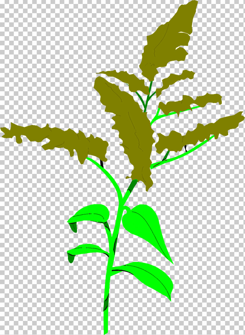 Leaf Flower Plant Plant Stem Goldenrod PNG, Clipart, Flower, Goldenrod, Leaf, Plant, Plant Stem Free PNG Download