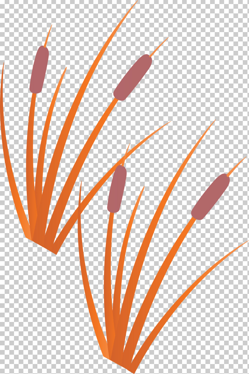 Tree Forest PNG, Clipart, Flower, Forest, Line, Meter, Orange Sa Free PNG Download