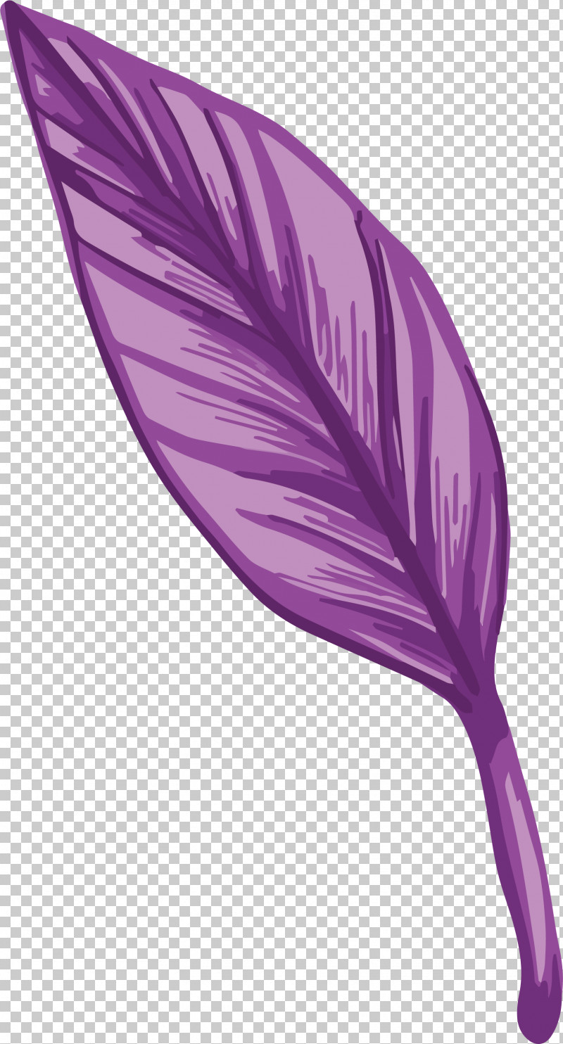 Feather PNG, Clipart, Feather, Purple Free PNG Download