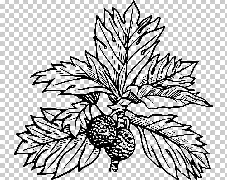 Breadfruit Tree PNG, Clipart, Artwork, Black And White, Branch, Breadfruit, Commodity Free PNG Download