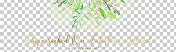 Toga Party Costume PNG, Clipart, Bed, Bed Sheets, Birthday, Branch, Brand Free PNG Download