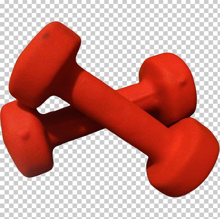 Weight Training Dumbbell Hand Physical Strength Physical Exercise PNG, Clipart, Adipose Tissue, Bodybuilding, Dumbbell, Endurance, Exercise Equipment Free PNG Download