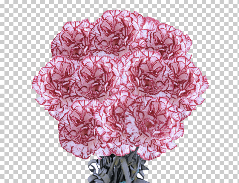 Floral Design PNG, Clipart, Cut Flowers, Floral Design, Flower, Petal, Pink M Free PNG Download