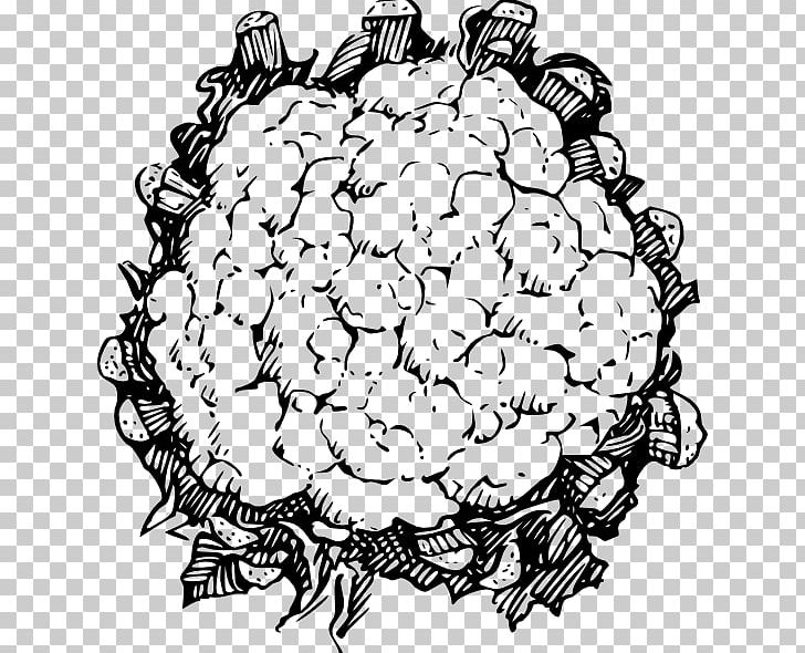Drawing Line Art Cauliflower PNG, Clipart, Area, Artwork, Black And White, Cauliflower, Circle Free PNG Download