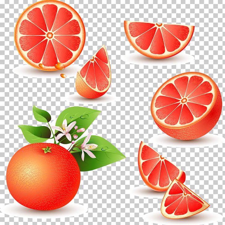Grapefruit Juice Pomelo Orange PNG, Clipart, Cartoon, Citric, Citrus, Food, Fruit Free PNG Download