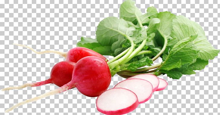 Radish PNG, Clipart, Radish Free PNG Download