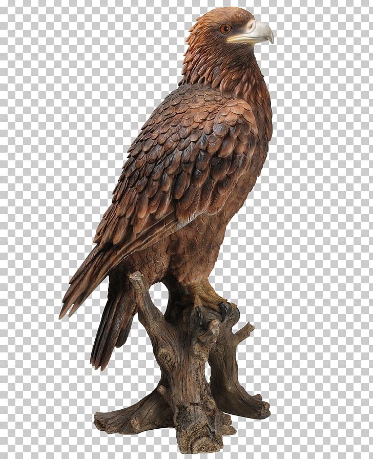 Bald Eagle Bird Golden Eagle Sculpture PNG, Clipart, Accipitriformes, Animals, Art, Bald Eagle, Beak Free PNG Download