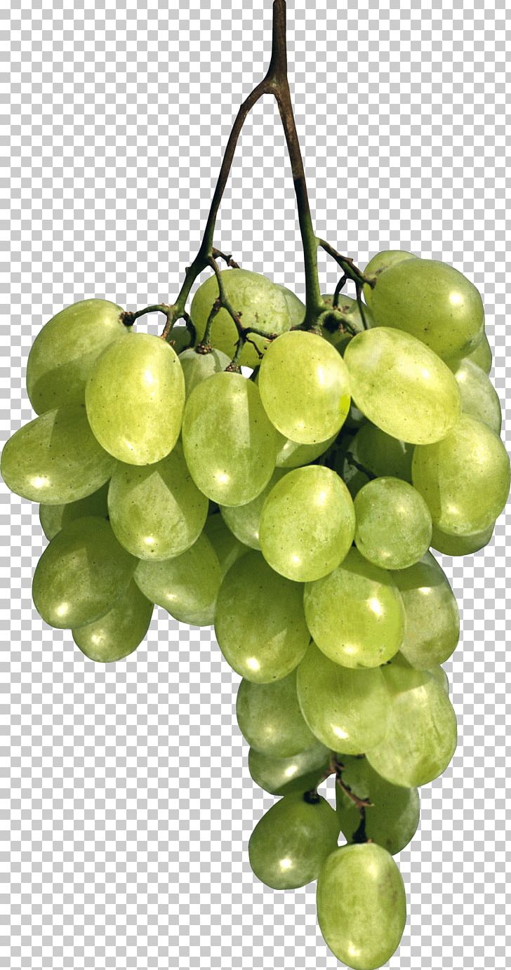 Common Grape Vine Moscow Cafe Breakfast PNG, Clipart, 3d Computer Graphics, Better, Eatclean, Flowering Plant, Food Free PNG Download