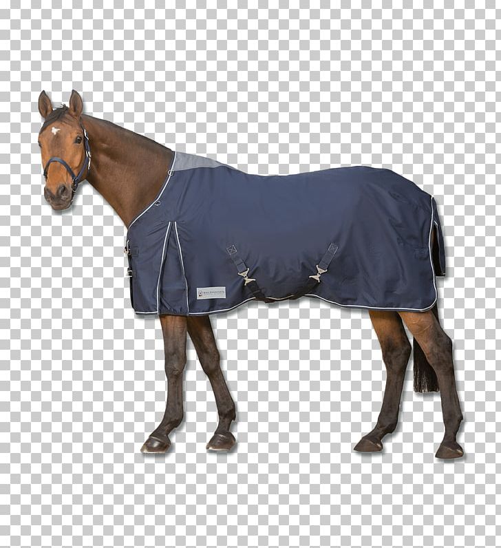 Horse Blanket Pony Couverture D'extérieur 50 G Turnout Light By Bucas Equestrian PNG, Clipart,  Free PNG Download