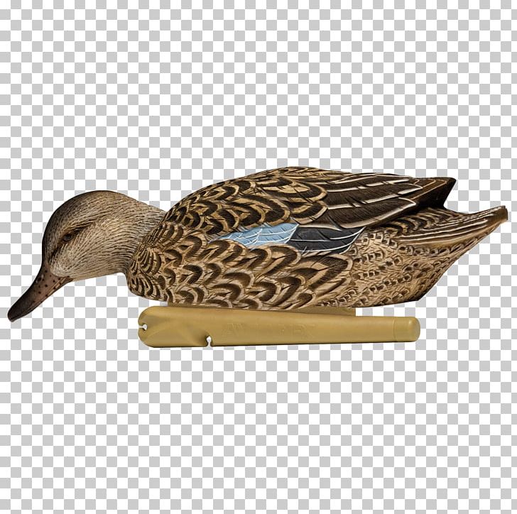 Mallard Duck Decoy Eurasian Teal Green-winged Teal PNG, Clipart,  Free PNG Download