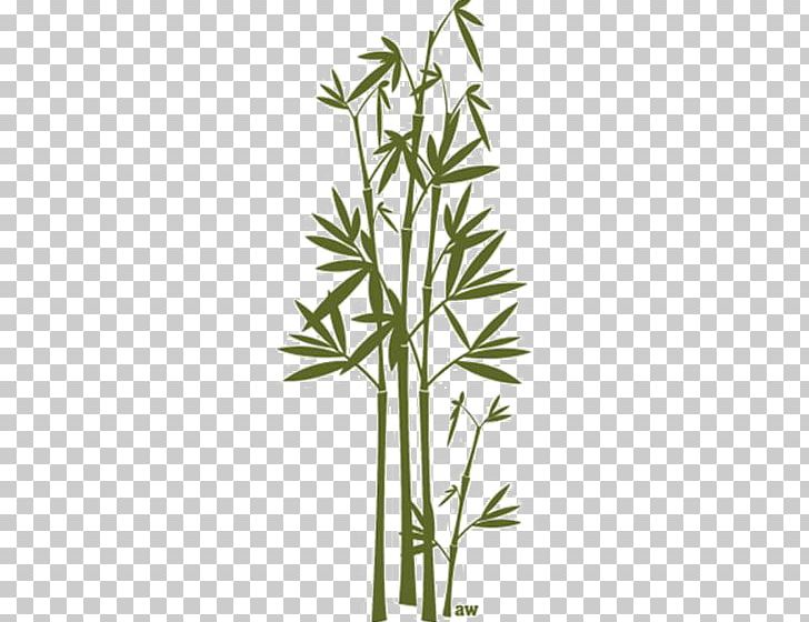 Bamboo Wall Decal PNG, Clipart, Angle, Background Green, Bamboo, Bamboo Festival, Bamboo Leaves Free PNG Download