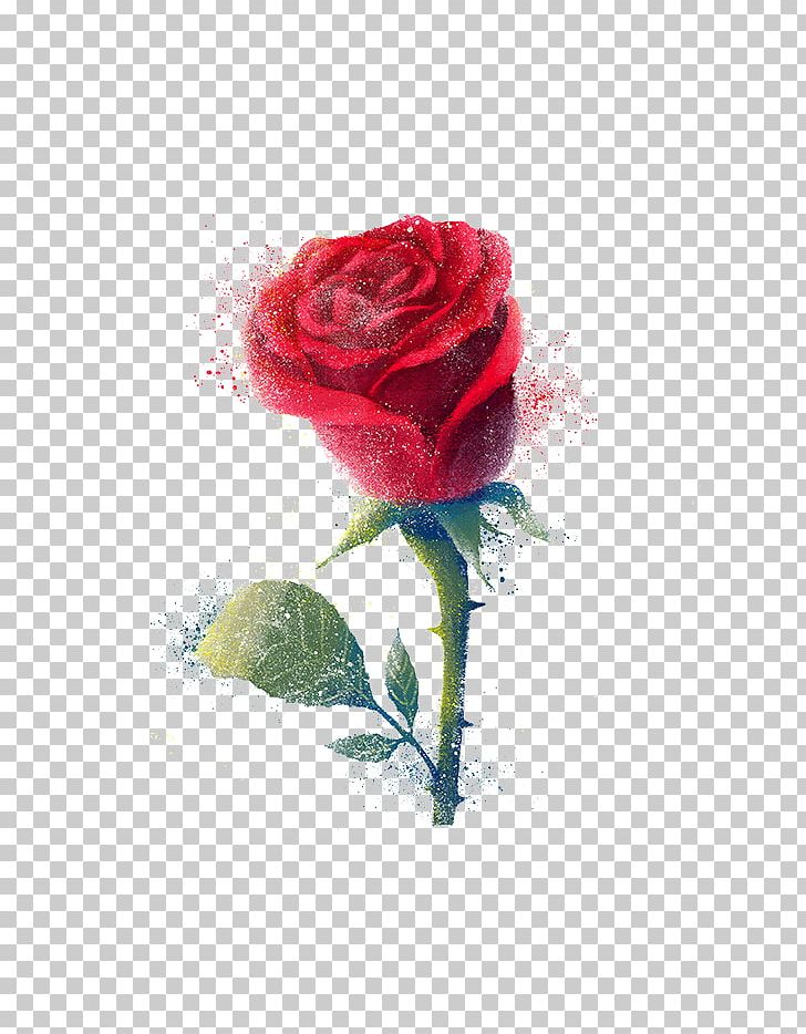 Beach Rose Android Samsung Galaxy Note PNG, Clipart, Artificial Flower, Cut Flowers, Download, Ecstasy, Flower Free PNG Download