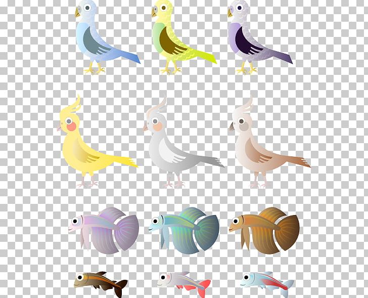 Lovebird Budgerigar Siamese Fighting Fish PNG, Clipart, Animal Figure, Animals, Beak, Bird, Budgerigar Free PNG Download