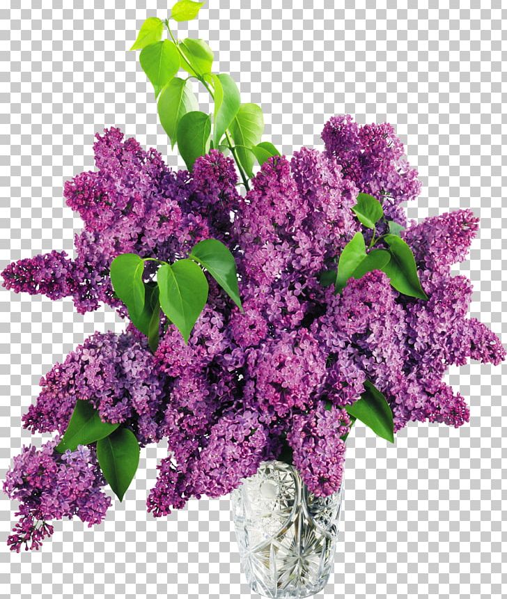 Common Lilac Vase PNG, Clipart, Clip Art, Color, Common Lilac, Cut Flowers, Desktop Wallpaper Free PNG Download