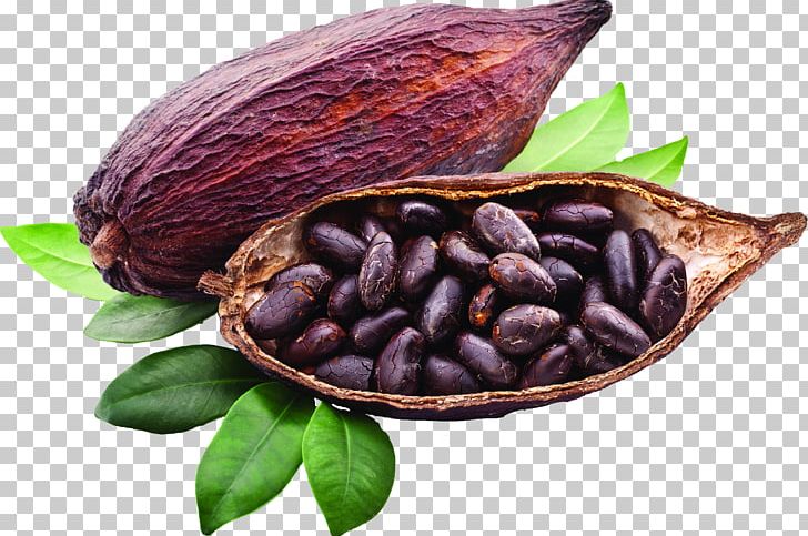 Criollo Cocoa Bean Cocoa Solids Trinitario Chocolate Liquor PNG, Clipart, Baking Chocolate, Bean, Chocolate, Chocolate Liquor, Cocoa Bean Free PNG Download
