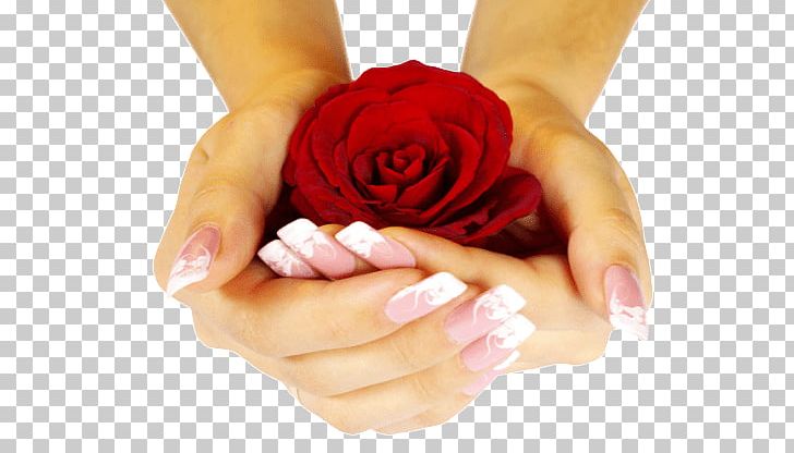 Rose Desktop Flower Hand Nail PNG, Clipart, Closeup, Desktop Wallpaper, Finger, Flower, Flower Bouquet Free PNG Download