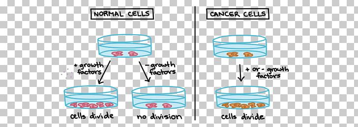 Cell Cycle Cancer Cell Mitosis Cell Growth PNG, Clipart, Biology, Brand, Cancer, Cancer Cell, Cell Free PNG Download