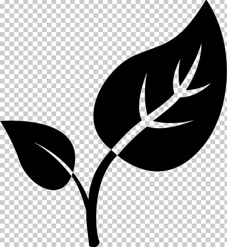 Computer Icons Information PNG, Clipart, Black And White, Branch, Bud, Computer Icons, Computer Program Free PNG Download