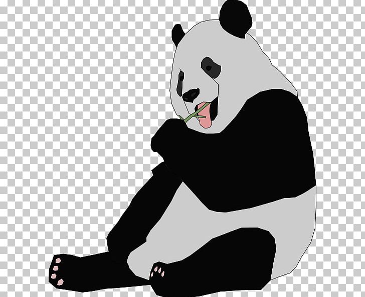 Giant Panda Bear Red Panda Cuteness PNG, Clipart, Bear, Black, Black And White, Blog, Carnivoran Free PNG Download