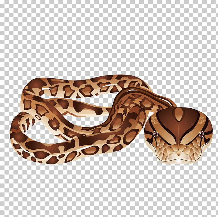 Snake Vipers PNG, Clipart, Animals, Boa Constrictor, Boas, Bushmasters, Cobra Free PNG Download