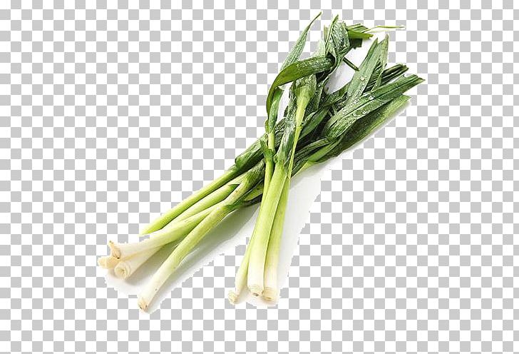 Allium Fistulosum Shallot Vegetarian Cuisine Leek Scallion PNG, Clipart, Background Green, Chard, Chives, Choy Sum, Food Free PNG Download