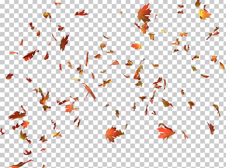 Autumn Leaf Color Autumn Leaf Color Maple Leaf PNG, Clipart, Autumn, Autumn Leaf Color, Autumn Leaves, Branch, Color Free PNG Download